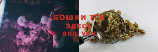 твердый Алексеевка